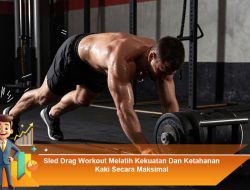 Sled Drag Workout Melatih Kekuatan Dan Ketahanan Kaki Secara Maksimal