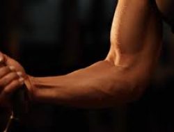 Latihan Gym Aman Untuk Pemula Dengan Intensitas Latihan Bertahap Dan Terukur Optimal