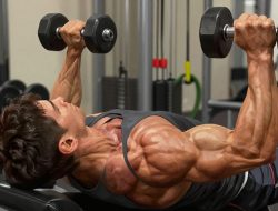 Cara Membentuk Otot Bisep Dan Trisep Agar Lengan Terlihat Lebih Besar Berisi