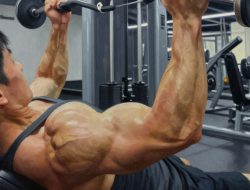 Cara Membentuk Otot Tricep Agar Lengan Terlihat Lebih Berisi Dan Kuat