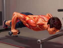 Teknik Latihan Triceps Dip Untuk Menghilangkan Lemak Di Bagian Belakang Lengan